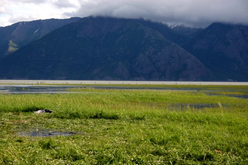 070404 Hope Hatcher Montana Creek (10019)